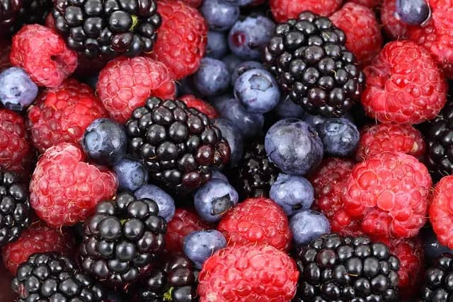 Cómo implementar una dieta equilibrada para potenciar tu vitalidad