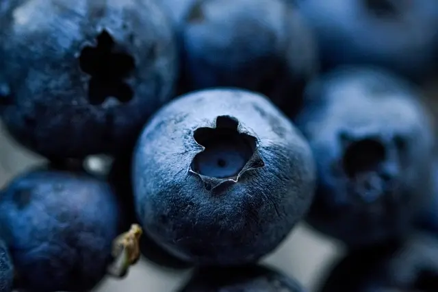 Cómo elegir los mejores superalimentos para potenciar tu energía