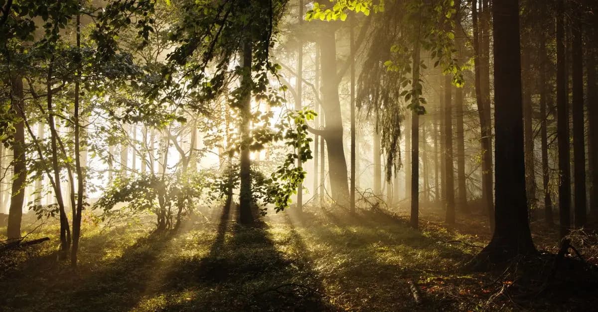 10 formas de aumentar tu energía naturalmente