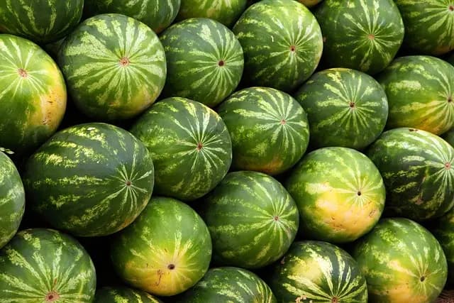 Cómo la alimentación antiinflamatoria mejora tu salud integral