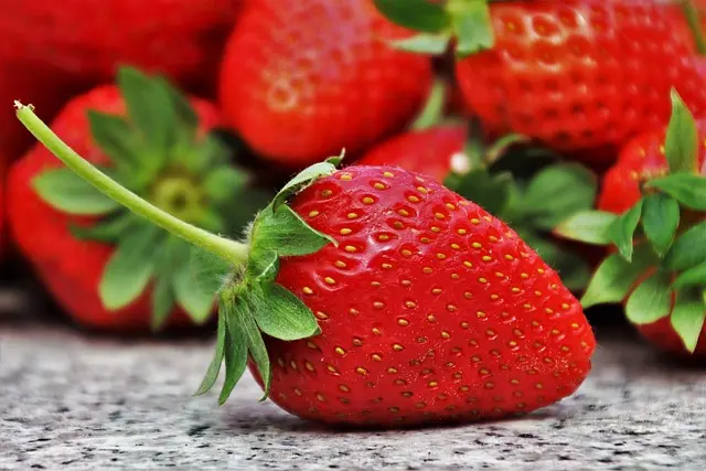 Cómo la alimentación consciente mejora tu calidad de vida