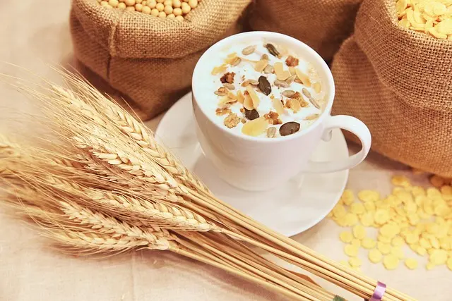 Cómo la alimentación balanceada potencia tu vitalidad diaria