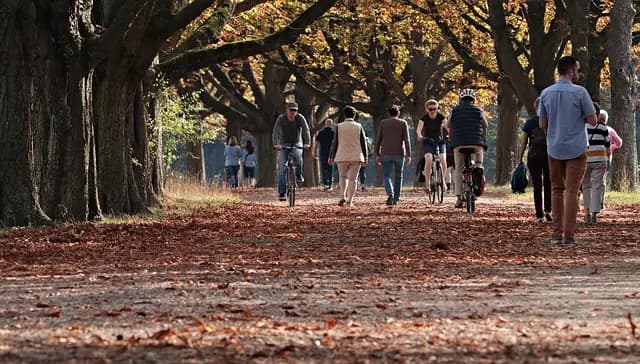Los beneficios del ejercicio al aire libre para tu salud