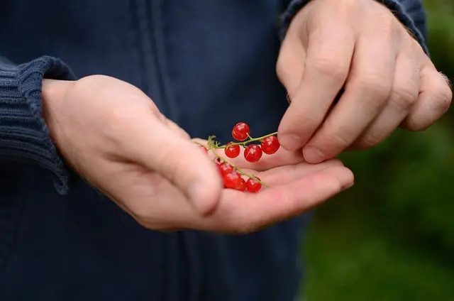 Cómo fortalecer tu vitalidad con hábitos sostenibles