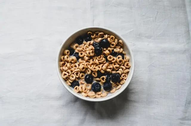 Cómo la alimentación afecta tu energía diaria y vitalidad