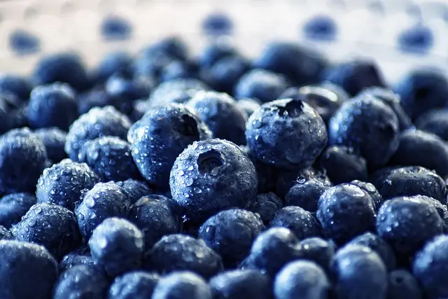 La importancia de una alimentación balanceada para la salud integral