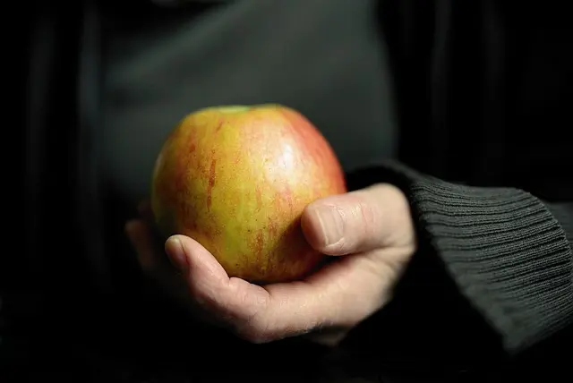 Cómo la alimentación balanceada mejora tu salud y vitalidad