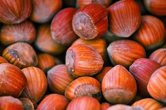 Cómo la alimentación vegetal potencia tu vitalidad