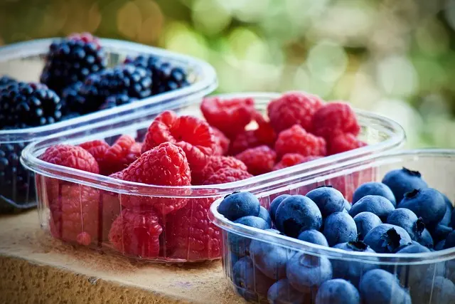 Cómo la alimentación influye en tu energía y vitalidad diaria