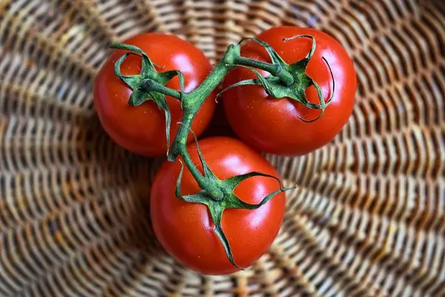 Cómo mejorar tu energía diaria con hábitos saludables