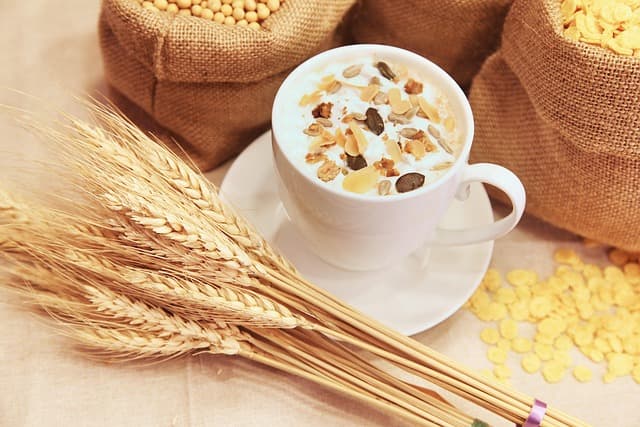 Cómo los hábitos alimenticios influyen en tu vitalidad diaria