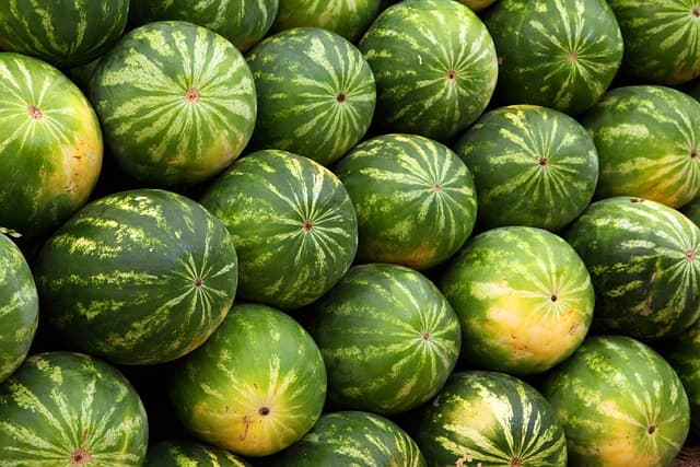 Cómo mejorar tu salud mental a través de la alimentación