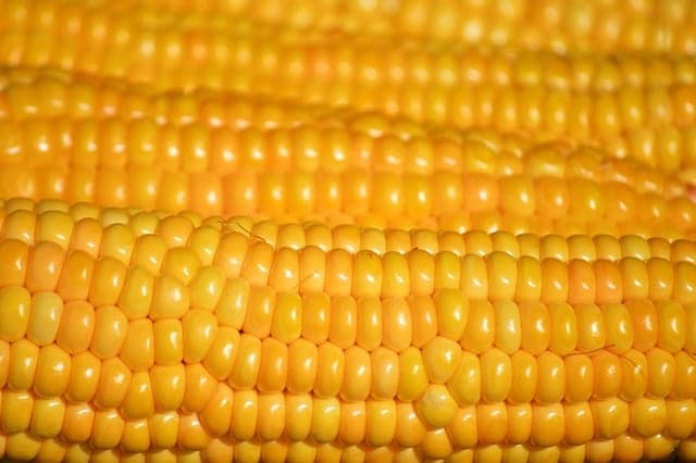 Cómo elegir los alimentos para potenciar tu vitalidad diaria