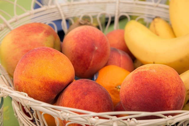 Cómo fortalecer tu vitalidad con nutrition balanceada