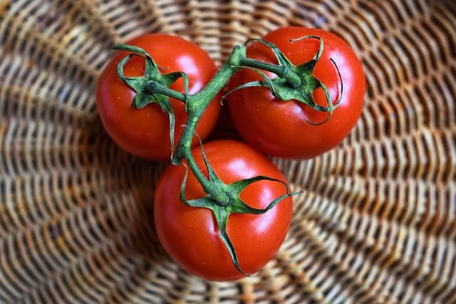 Cómo la alimentación saludable potencia tu energía diaria